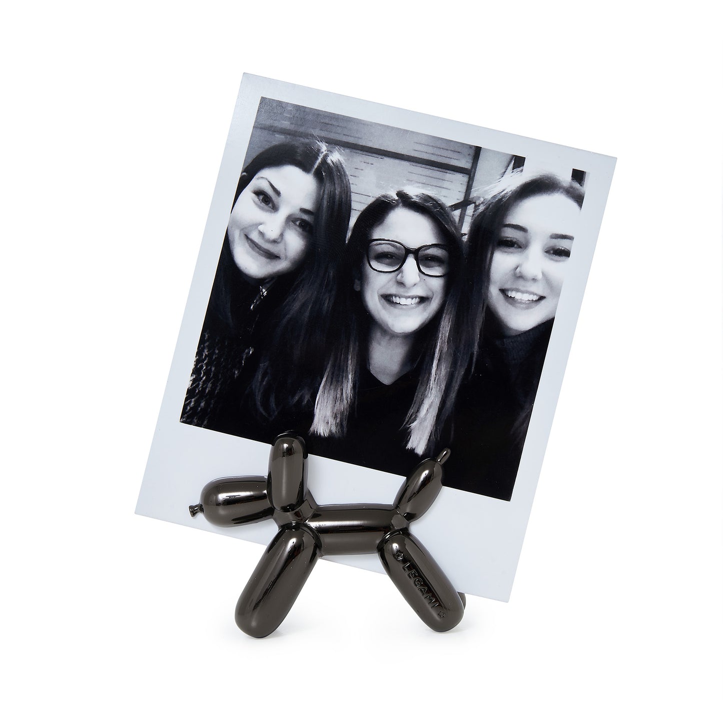 MAGNETIC PHOTO HOLDER - LUCKY - BLACK - DOGS / PACK DE 6