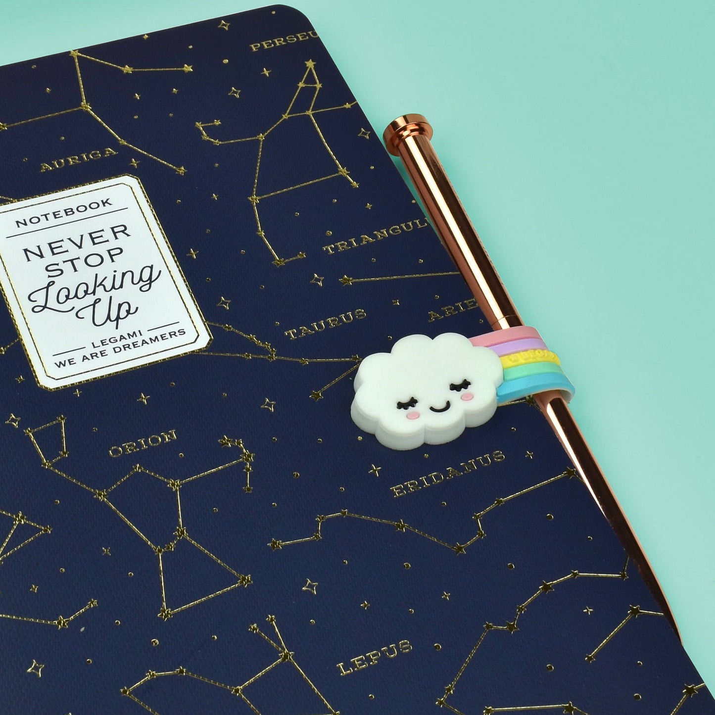 MAGNETIC CLIP - RAINBOW / PACK DE 6