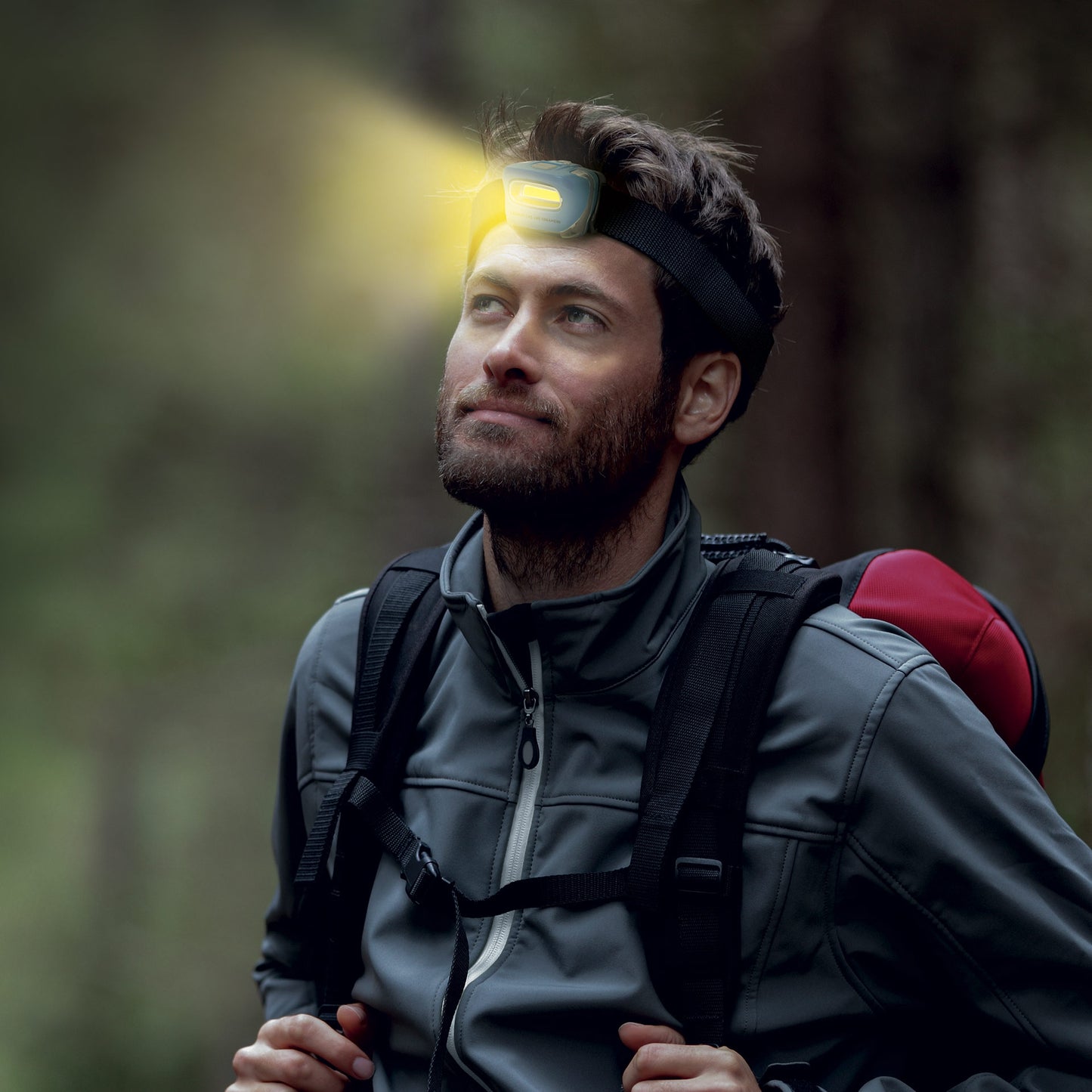 COB LED HEADLAMP - SOS HEADLAMP - PETROL BLUE / PACK DE 6