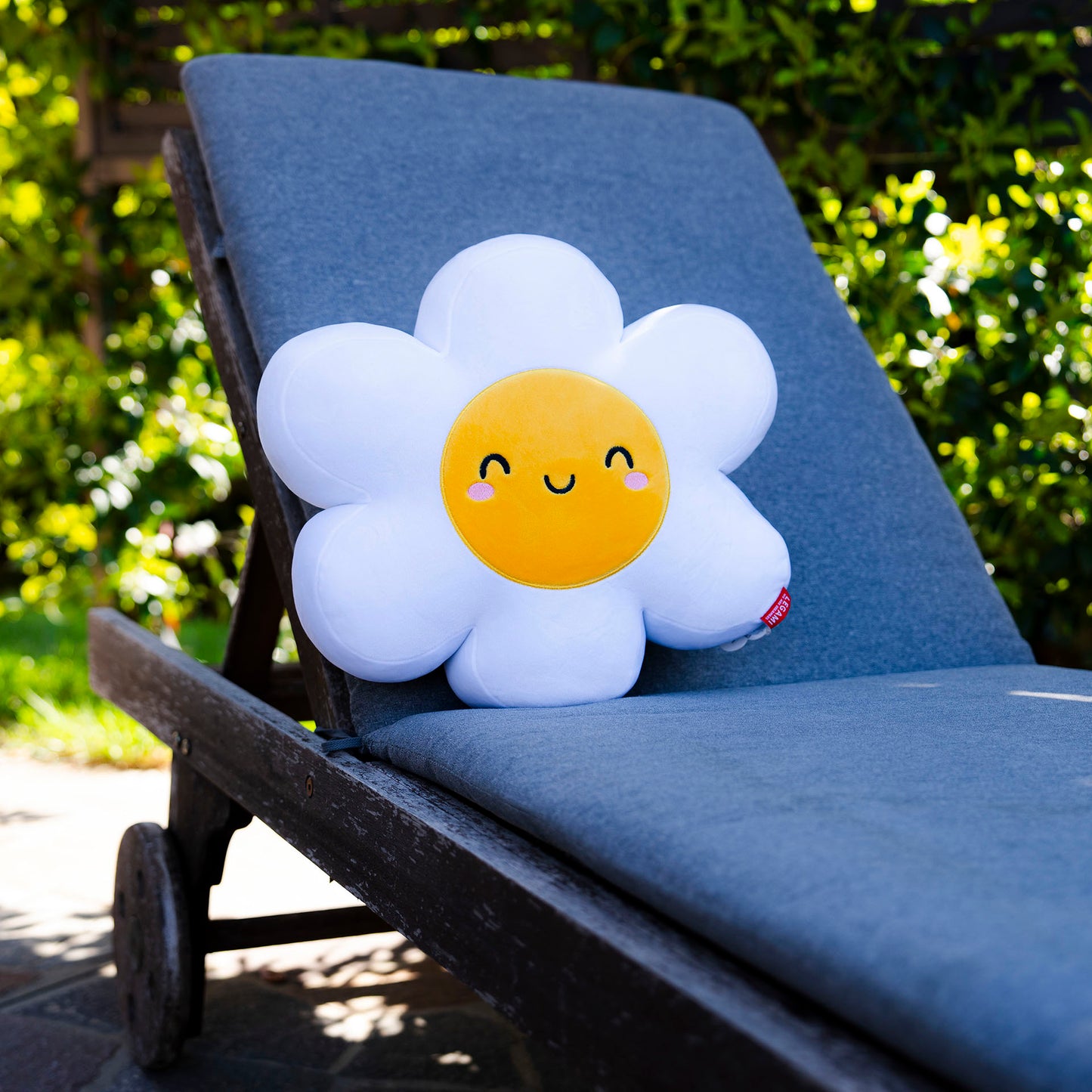 PILLOW - SUPER SOFT! - DAISY / PACK DE 2